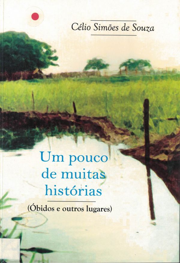 Um Pouco de muitas histórias